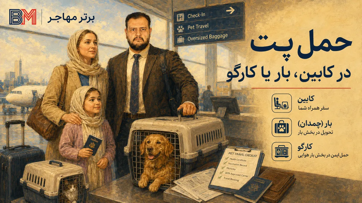 روش های حمل سگ و گربه با هواپیما به آمریکا