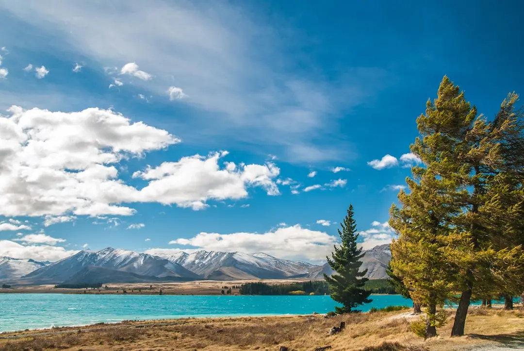طبیعت نیوزلند