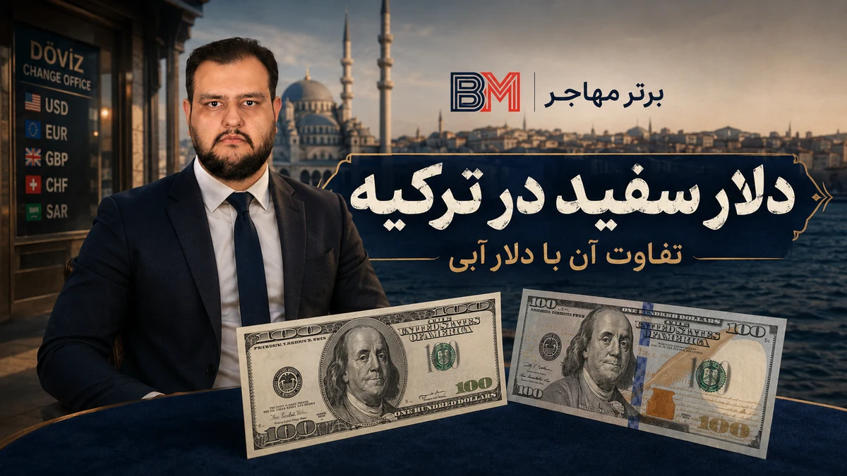 دلار سفید در ترکیه و تفاوت آن با دلار آبی
